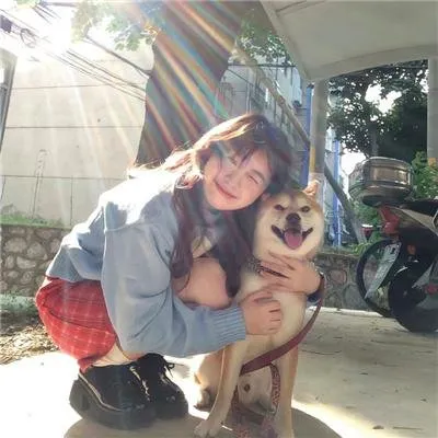 极致阴暗的群像《愚行录》满岛光妻夫木聪：精英家庭灭门血案背后，所有受访者都包藏祸心